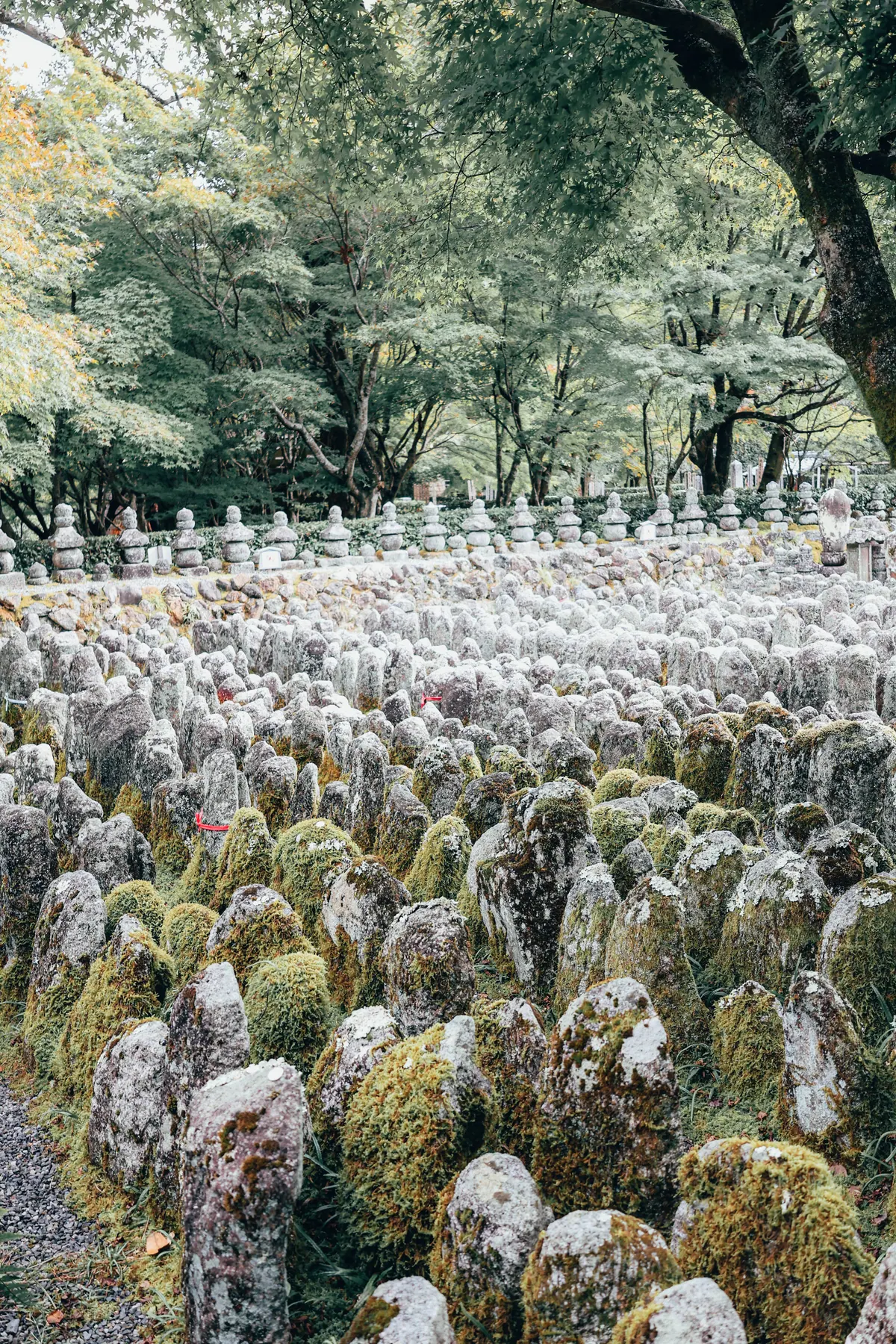 Estatuas de piedra cubiertas de musgo en Adashino